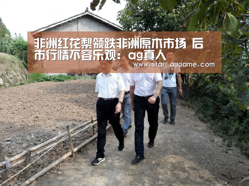 AG真人官网