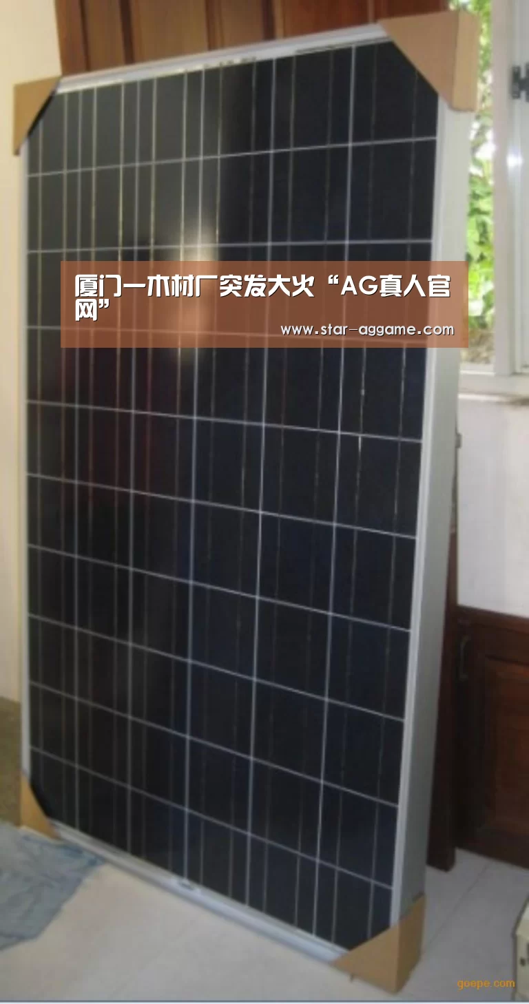ag真人