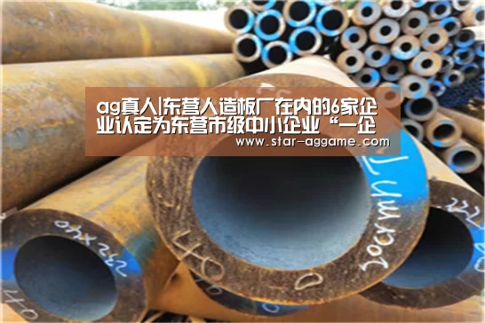 ag真人|东营人造板厂在内的6家企业认定为东营市级中小企业“一企一技术”创新企业(图3) ag真人入口