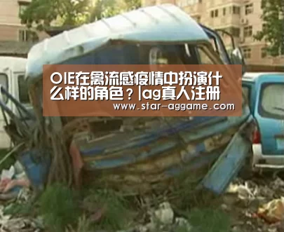 OIE在禽流感疫情中扮演什么样的角色?|ag真人注册(图1) ag真人注册