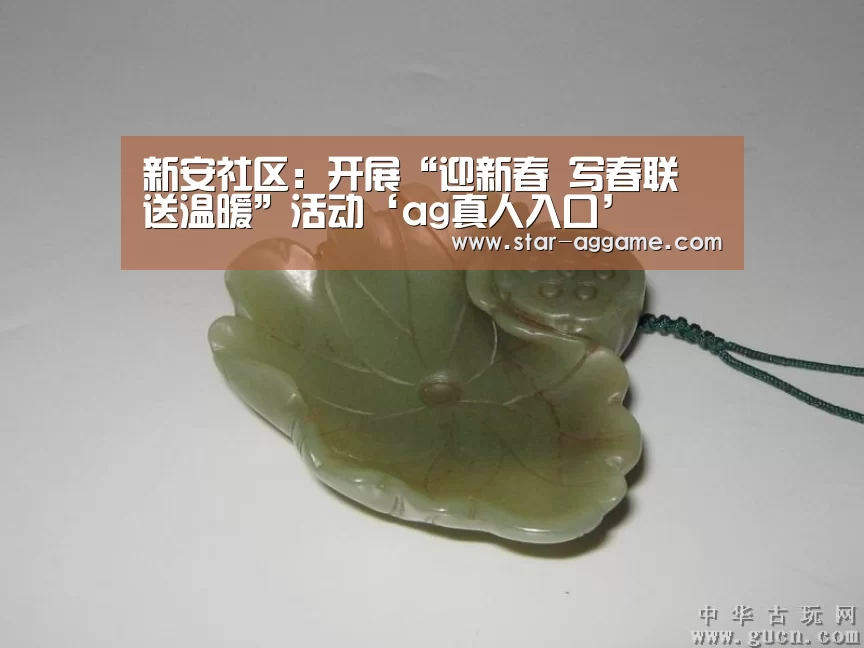 新安社区:开展“迎新春 写春联 送温暖”活动‘ag真人入口’(图2) ag真人
