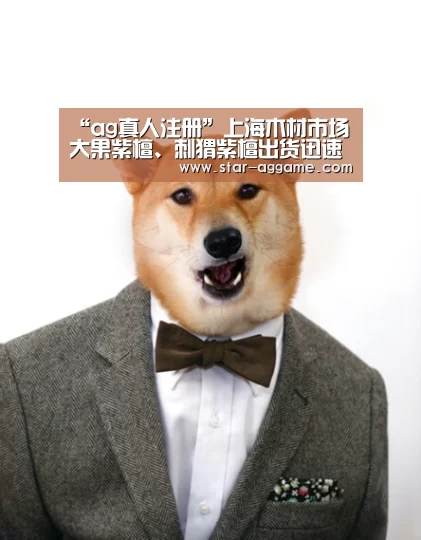 ag真人注册